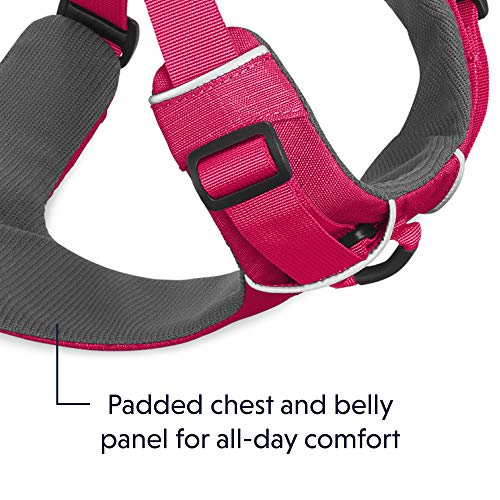 RUFFWEAR - Front Range Dog Harness, Reflective and Padded Harness for Training and Everyday, Wild Berry (2017), Small