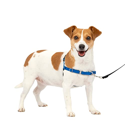 PetSafe Easy Walk No-Pull Dog Harness - The Ultimate Harness to Help Stop Pulling - Take Control & Teach Better Leash Manners - Helps Prevent Pets Pulling on Walks - Small, Royal Blue/Navy Blue