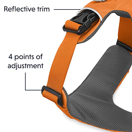 RUFFWEAR - Front Range Dog Harness, Reflective and Padded Harness for Training and Everyday, Orange Poppy (2017), Large/X-Large