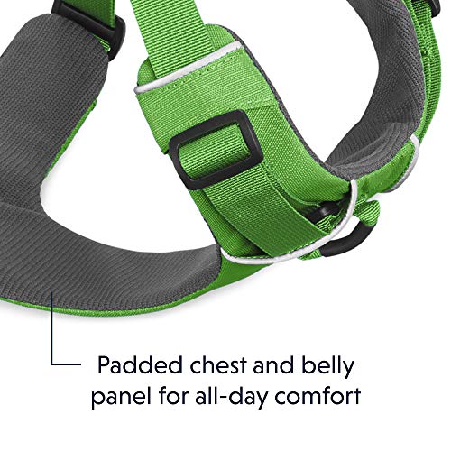 Ruffwear All-Day Dog Front Range Harness, Green (Meadow Green), M