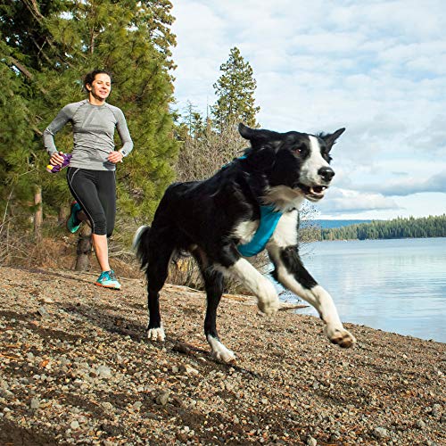 RUFFWEAR - Front Range Dog Harness, Reflective and Padded Harness for Training and Everyday, Orange Poppy (2017), Large/X-Large