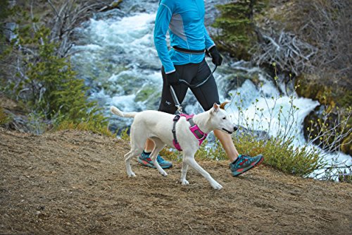 Ruffwear - Front Range All-Day Adventure Harness for Dogs