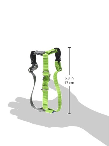 PetSafe Easy Walk Harness, Petite/Small, APPLE GREEN/GREY for Dogs