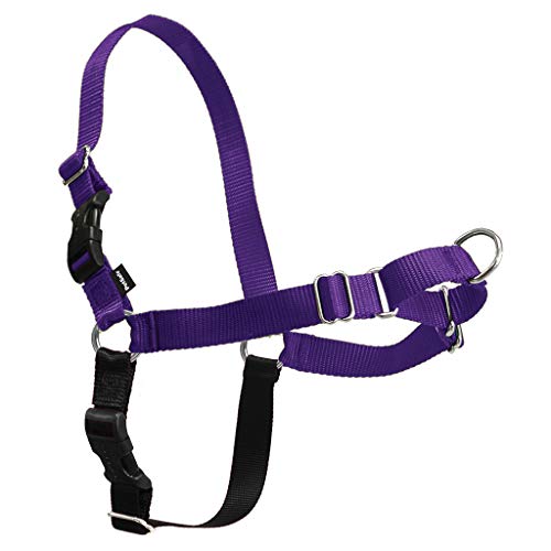 PetSafe Easy Walk Dog Harness, No Pull Dog Harness, Deep Purple/Black, Petite