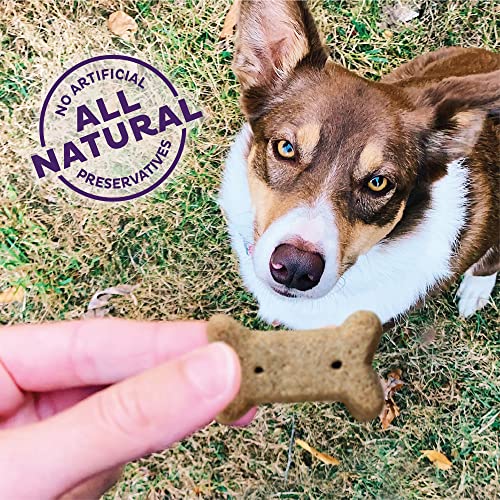 Old Mother Hubbard by Wellness Classic P-Nuttier Natural Dog Treats, Crunchy Oven-Baked Biscuits, Ideal for Training, Small Size, 20 pound bag