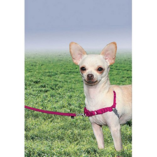 PetSafe Easy Walk Harness