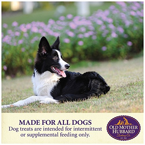 Old Mother Hubbard by Wellness Classic P-Nuttier Natural Dog Treats, Crunchy Oven-Baked Biscuits, Ideal for Training, Large Size, 3.3 pound bag