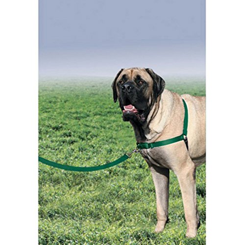 PetSafe Easy Walk Harness