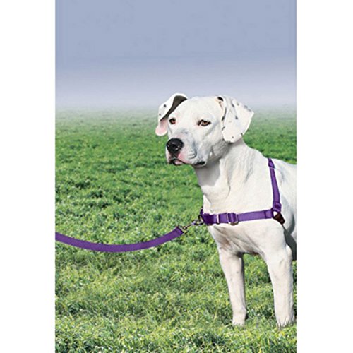 PetSafe Easy Walk Harness