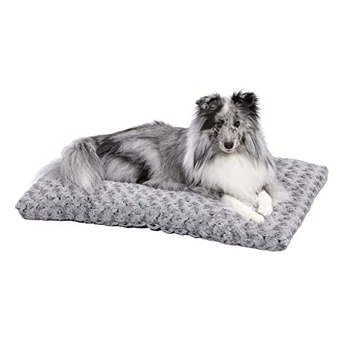 Ombré Swirl Dog / Cat Pet Bed
