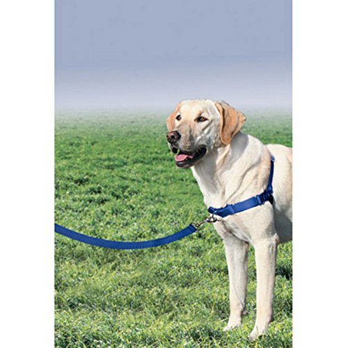 PetSafe Easy Walk Harness
