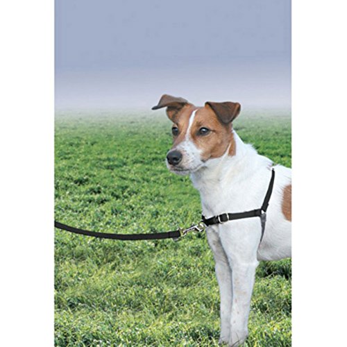 PetSafe Easy Walk Harness