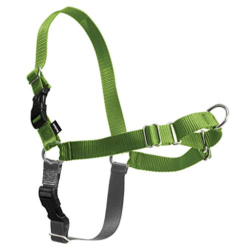 PetSafe Easy Walk Harness, Extra Large, APPLE GREEN/GREY for Dogs