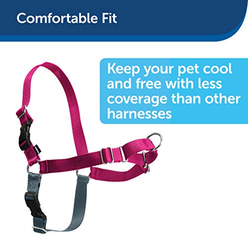 PetSafe Easy Walk Harness, Extra Large, APPLE GREEN/GREY for Dogs
