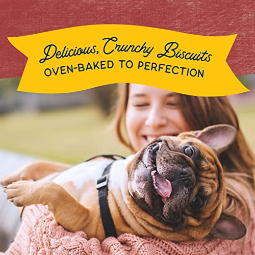 Natural Balance Limited Ingredient Rewards Crunchy Biscuits, Grain-Free Dog Treats for Adult Dogs of All Breeds, Sweet Potato & Bison Recipe, 14 Ounce (Pack of 1)
