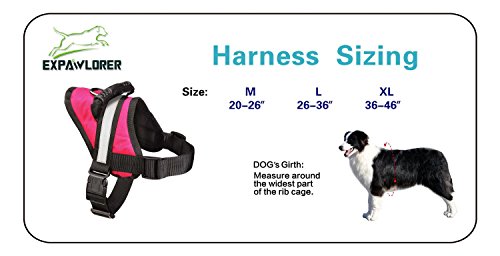 EXPAWLORER Big Dog Soft Reflective No Pull Pink Harness Size XL 36-46inch