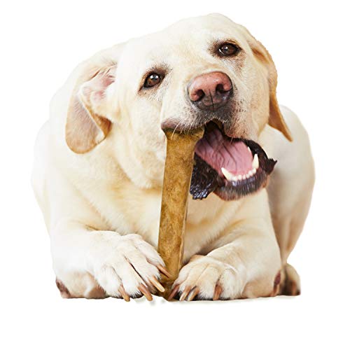 Nylabone Healthy Edibles Roast Beef Flavor Chew Treats for Dog 1 Count Roast Beef Large/Giant