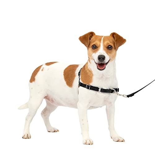 PetSafe Easy Walk No-Pull Dog Harness - The Ultimate Harness to Help Stop Pulling - Take Control & Teach Better Leash Manners - Helps Prevent Pets Pulling on Walks - Small, Black/Silver