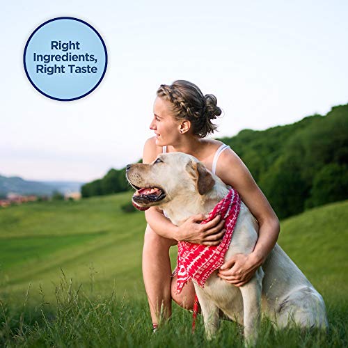 Natural Balance Limited Ingredient Original Biscuits | Brown Rice & Lamb Dog Treats for Small-Breed Adult Dogs | 8-oz. Pouch