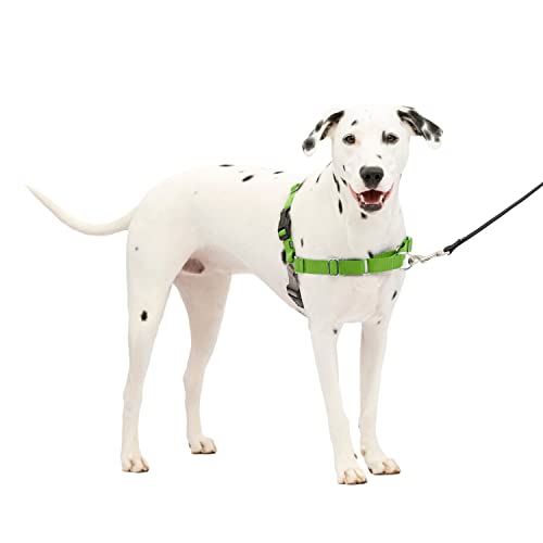 PetSafe Easy Walk No-Pull Dog Harness - The Ultimate Harness to Help Stop Pulling - Take Control & Teach Better Leash Manners - Helps Prevent Pets Pulling on Walks - Medium/Large, Apple Green/Gray