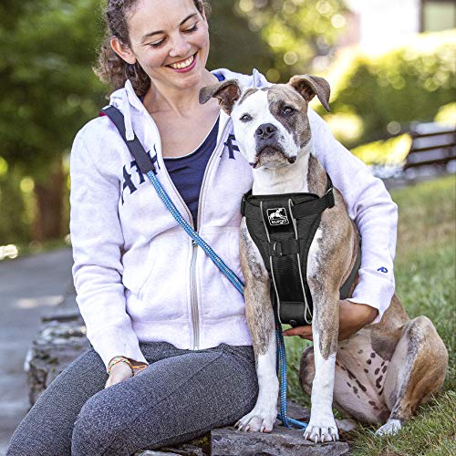 Kurgo Dog Harness | Pet Walking Harness | Extra Small | Black | No Pull Harness Front Clip Feature for Training Included | Car Seat Belt | Tru-Fit Quick Release Style