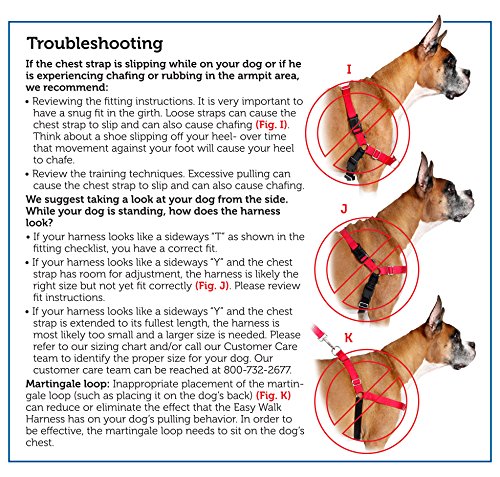 PetSafe Easy Walk No-Pull Dog Harness - The Ultimate Harness to Help Stop Pulling - Take Control & Teach Better Leash Manners - Helps Prevent Pets Pulling on Walks - Small, Black/Silver