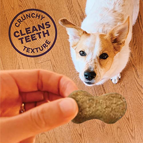 Old Mother Hubbard by Wellness P-Nutty Assorted Mix Natural Dog Treats, Crunchy Oven-Baked Biscuits, Ideal for Training, Small Size, 20 pound box