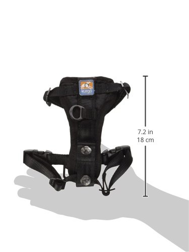 Kurgo Dog Harness | Pet Walking Harness | Extra Small | Black | No Pull Harness Front Clip Feature for Training Included | Car Seat Belt | Tru-Fit Quick Release Style