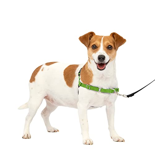 PetSafe Easy Walk Dog Harness - Control Pulling