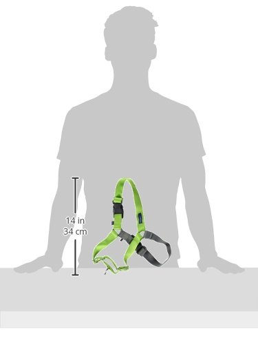 PetSafe Easy Walk No-Pull Dog Harness - The Ultimate Harness to Help Stop Pulling - Take Control & Teach Better Leash Manners - Helps Prevent Pets Pulling on Walks - Medium/Large, Apple Green/Gray