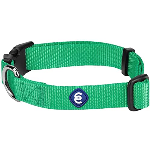 Blueberry Pet Essentials 21 Colors Classic Dog Collar, Emerald, Large, Neck 18"-26", Nylon Collars for Dogs