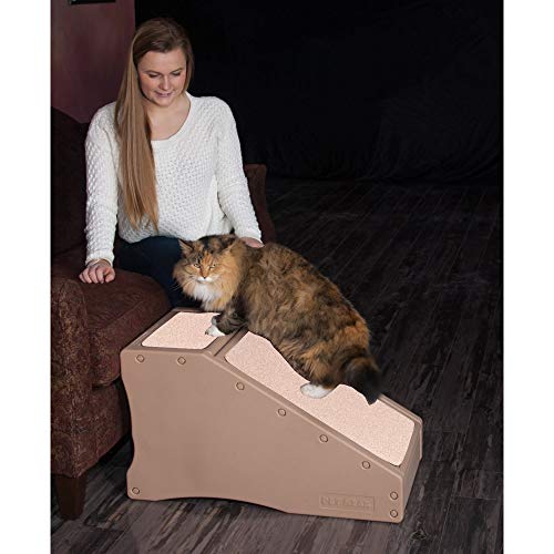 Pet Gear Step and Ramp Combination