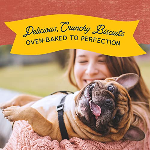 Natural Balance Limited Ingredient Original Biscuits | Fish & Sweet Potato Grain-Free Dog Treats for Adult Dogs of All Breeds | 14-oz. Pouch
