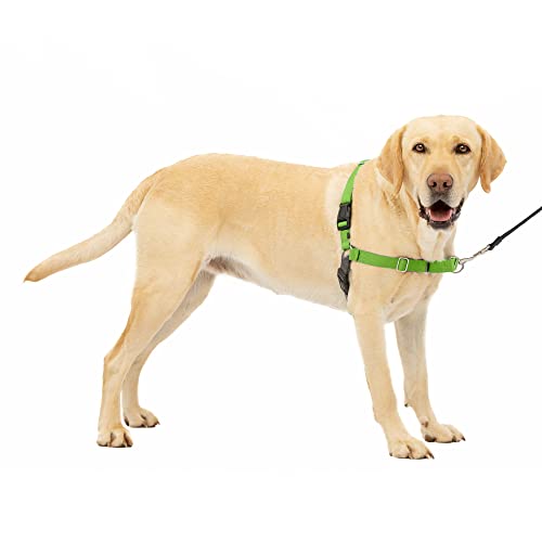 PetSafe Easy Walk Harness, Large, APPLE GREEN/GREY for Dogs