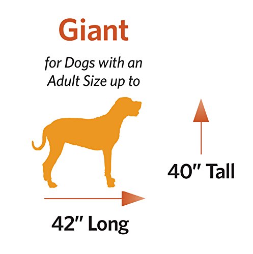 MidWest Homes for Pets 54L-Inch Gray Dog Bed or Cat Bed w/ Comfortable Bolster | Ideal for Giant Dog Breeds (Great Dane / Mastiff) & Fits a 54-Inch Dog Crate