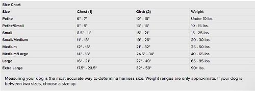 PetSafe Easy Walk No-Pull Dog Harness - The Ultimate Harness to Help Stop Pulling - Take Control & Teach Better Leash Manners - Helps Prevent Pets Pulling on Walks - Medium, Raspberry/Gray