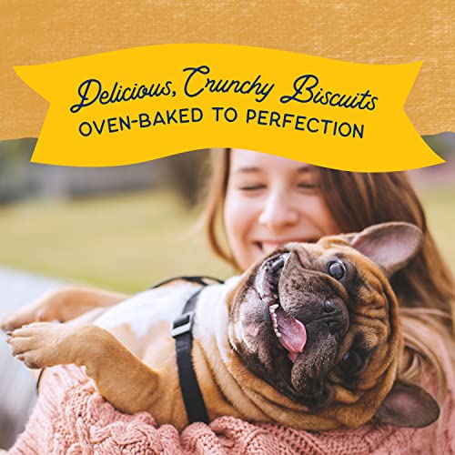 Natural Balance Limited Ingredient Original Biscuits | Duck & Potato Grain-Free Dog Treats for Adult Dogs of All Breeds | 28-oz. Pouch