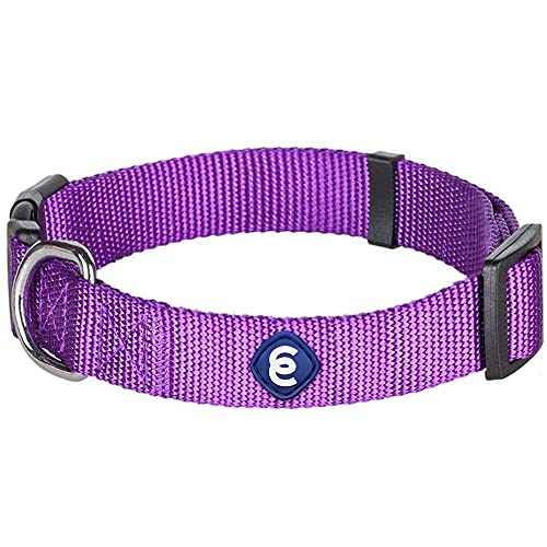 Blueberry Pet Essentials 21 Colors Classic Dog Collar, Dark Orchid, Medium, Neck 14.5"-20", Nylon Collars for Dogs