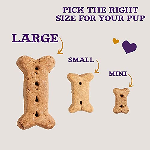 Old Mother Hubbard Classic Crunchy Natural Dog Treats, Liv'R'Crunch Mini Biscuits, 20-Pound Box