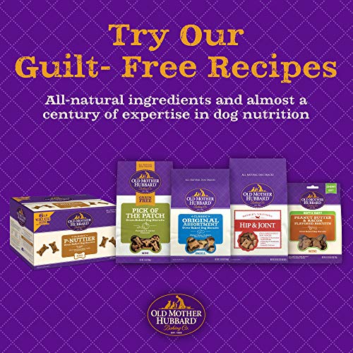 Old Mother Hubbard Classic Crunchy Natural Dog Treats, Liv'R'Crunch Mini Biscuits, 20-Pound Box