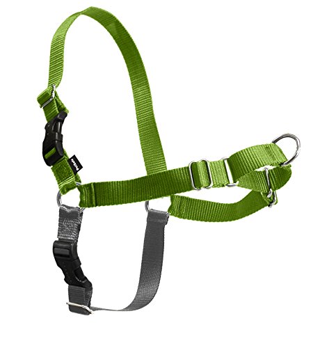 PetSafe Easy Walk Harness, Petite, APPLE GREEN/GREY for Dogs