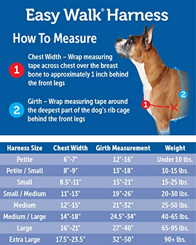 PetSafe Easy Walk Harness, Petite, APPLE GREEN/GREY for Dogs