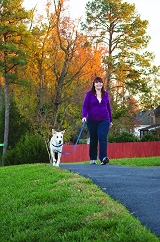 PetSafe Easy Walk Harness, Petite, APPLE GREEN/GREY for Dogs
