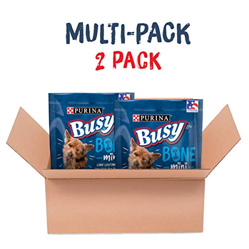 Purina Busy Bone Dog Chew Mini Dog Treats for Small Dogs, (2) 12 ct. Pouches