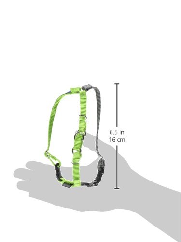 PetSafe Easy Walk Harness, Petite, APPLE GREEN/GREY for Dogs