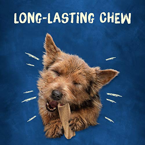 Purina Busy Bone Dog Chew Mini Dog Treats for Small Dogs, (2) 12 ct. Pouches