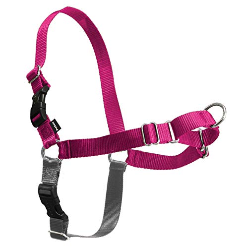 PetSafe Easy Walk Dog Harness, No Pull Dog Harness, Raspberry/Gray, X-Large