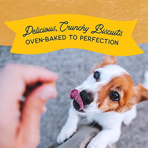 Natural Balance Limited Ingredient Rewards Crunchy Biscuits, Grain-Free Dog Treats for Adult Dogs of All Breeds, Potato & Duck Recipe, 8 Ounce (Pack of 1)