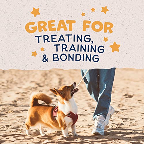 Natural Balance Limited Ingredient Rewards Crunchy Biscuits, Grain-Free Dog Treats for Adult Dogs of All Breeds, Potato & Duck Recipe, 8 Ounce (Pack of 1)