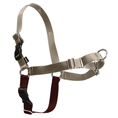 PetSafe Easy Walk Harness, Petite/Small, Fawn & Brown for Dogs